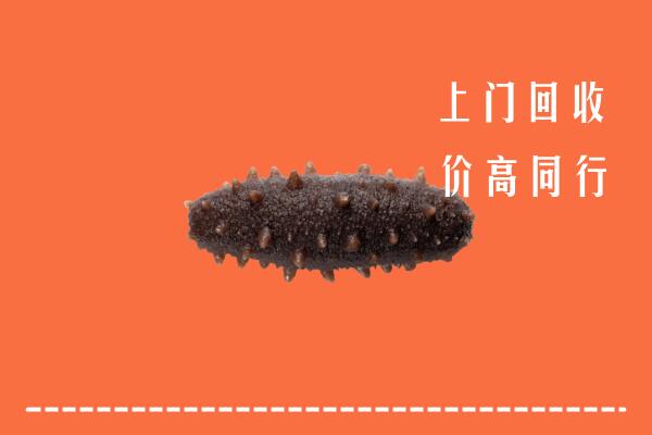 高价求购：港口区回收海参