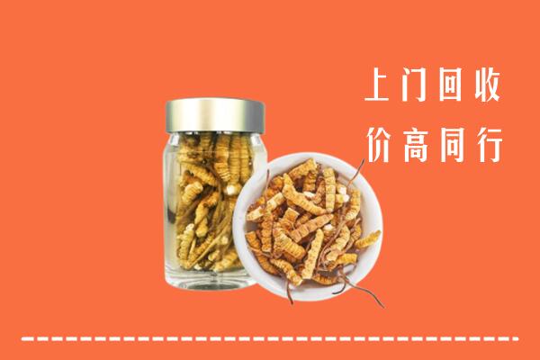 港口区回收冬虫夏草